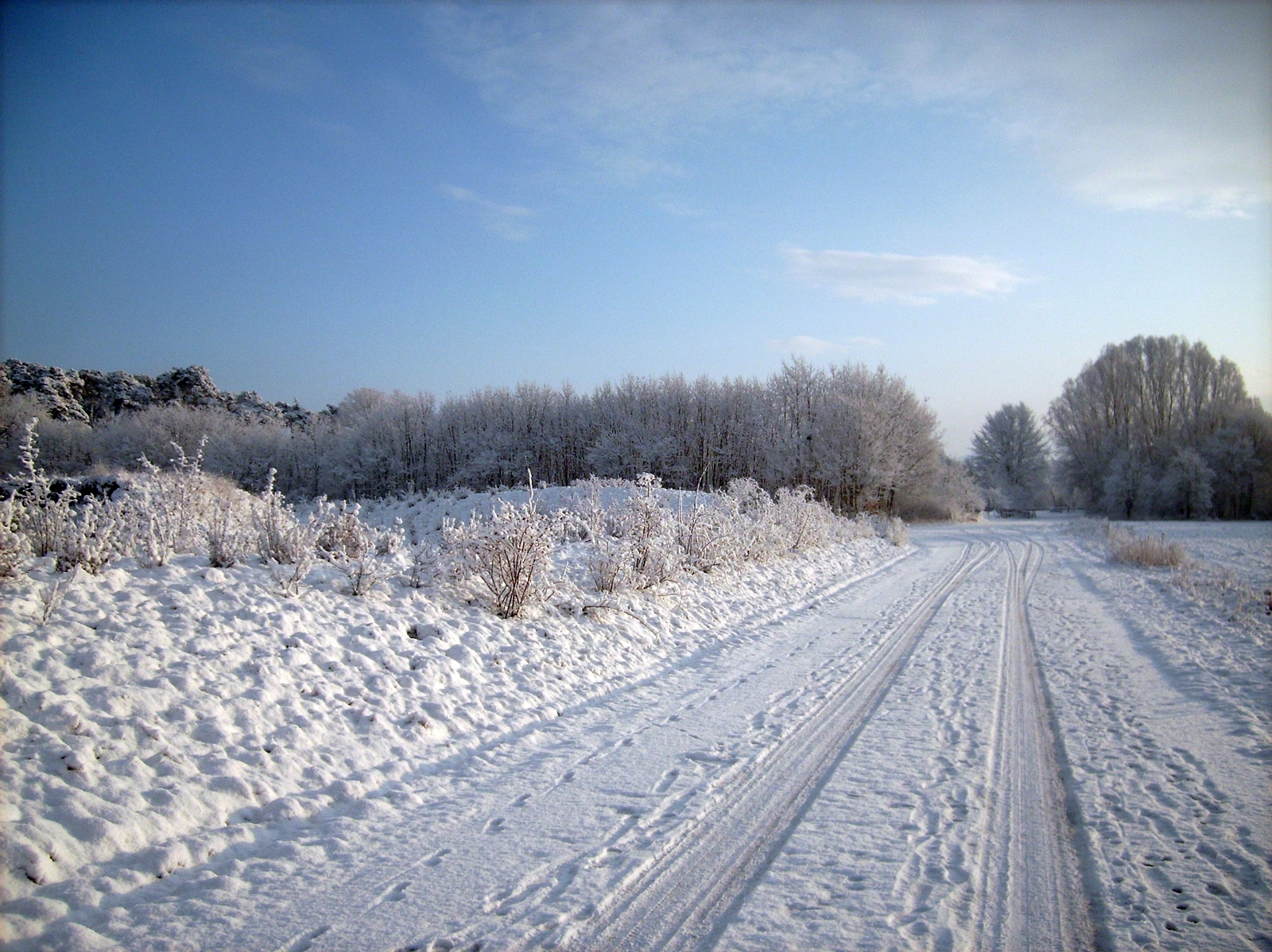 Winterlandschaft im Januar