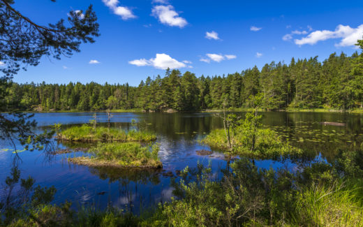 Fagertärn Wandern im   Naturreservat