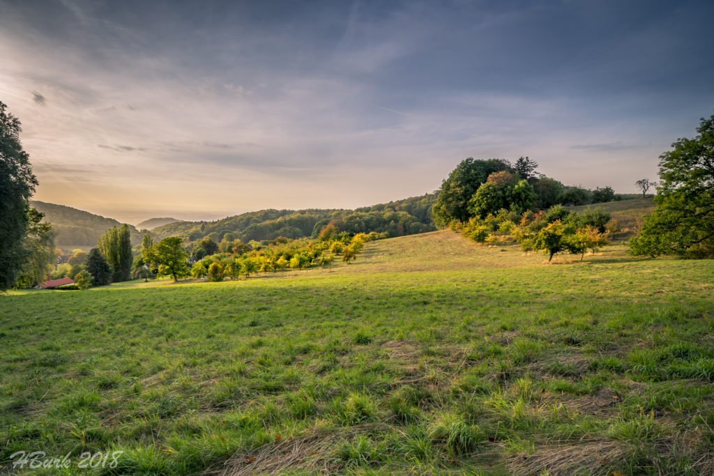 Herbststimmung