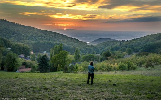 Sonnenuntergang Herbst 2018 | Panorama | Weitwinkel