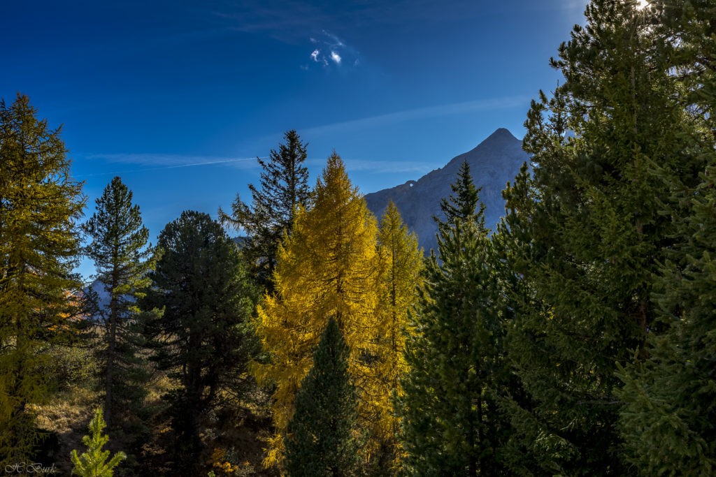 Herbst in Südtirol