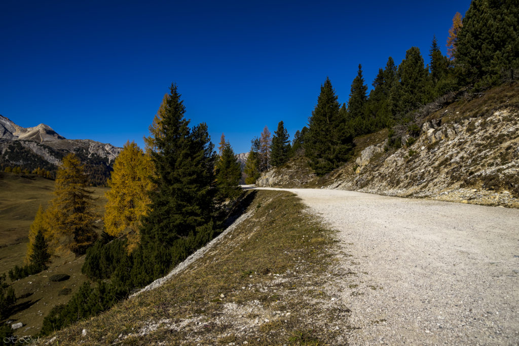 Weg zur Dürrensteinhütte