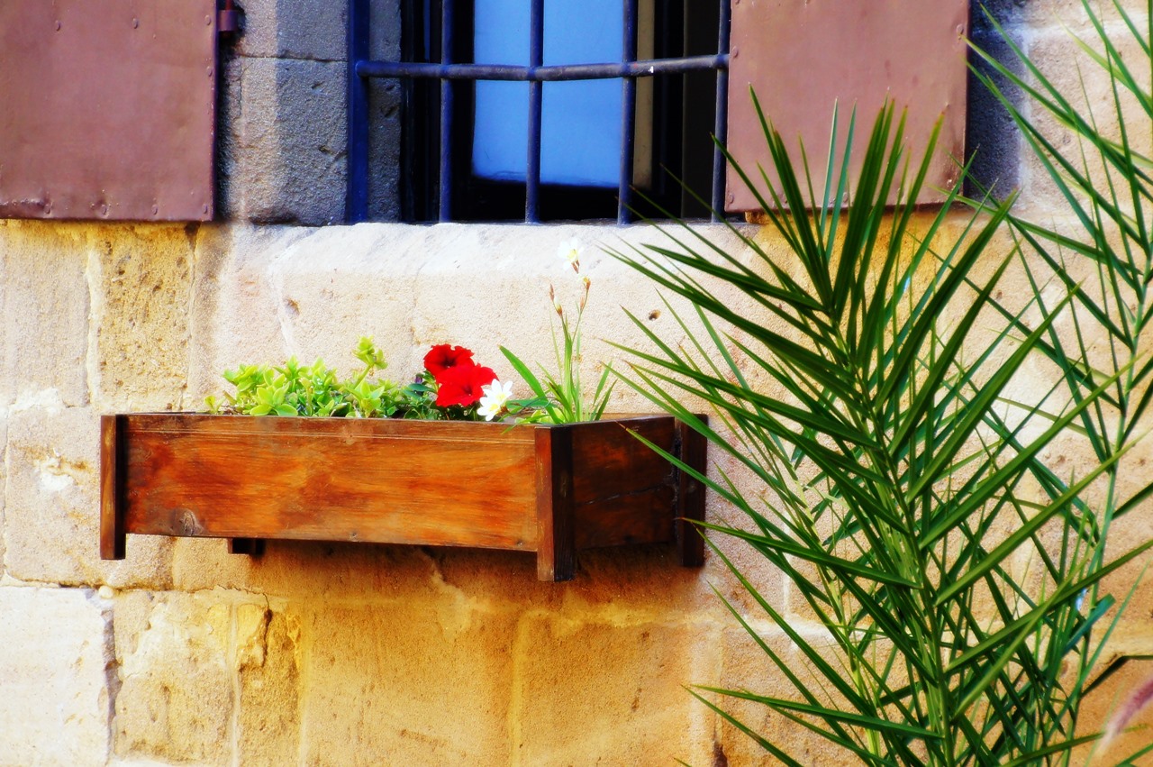 Blaues Fenster mit Blumen